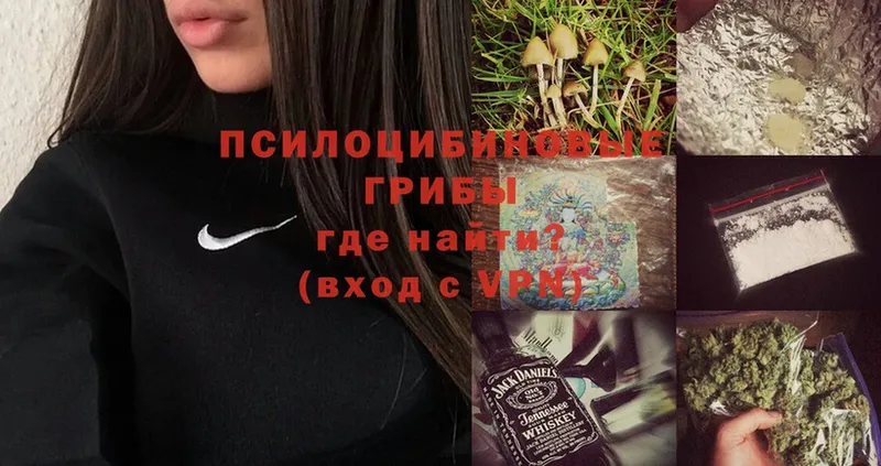 Псилоцибиновые грибы Magic Shrooms  Армянск 